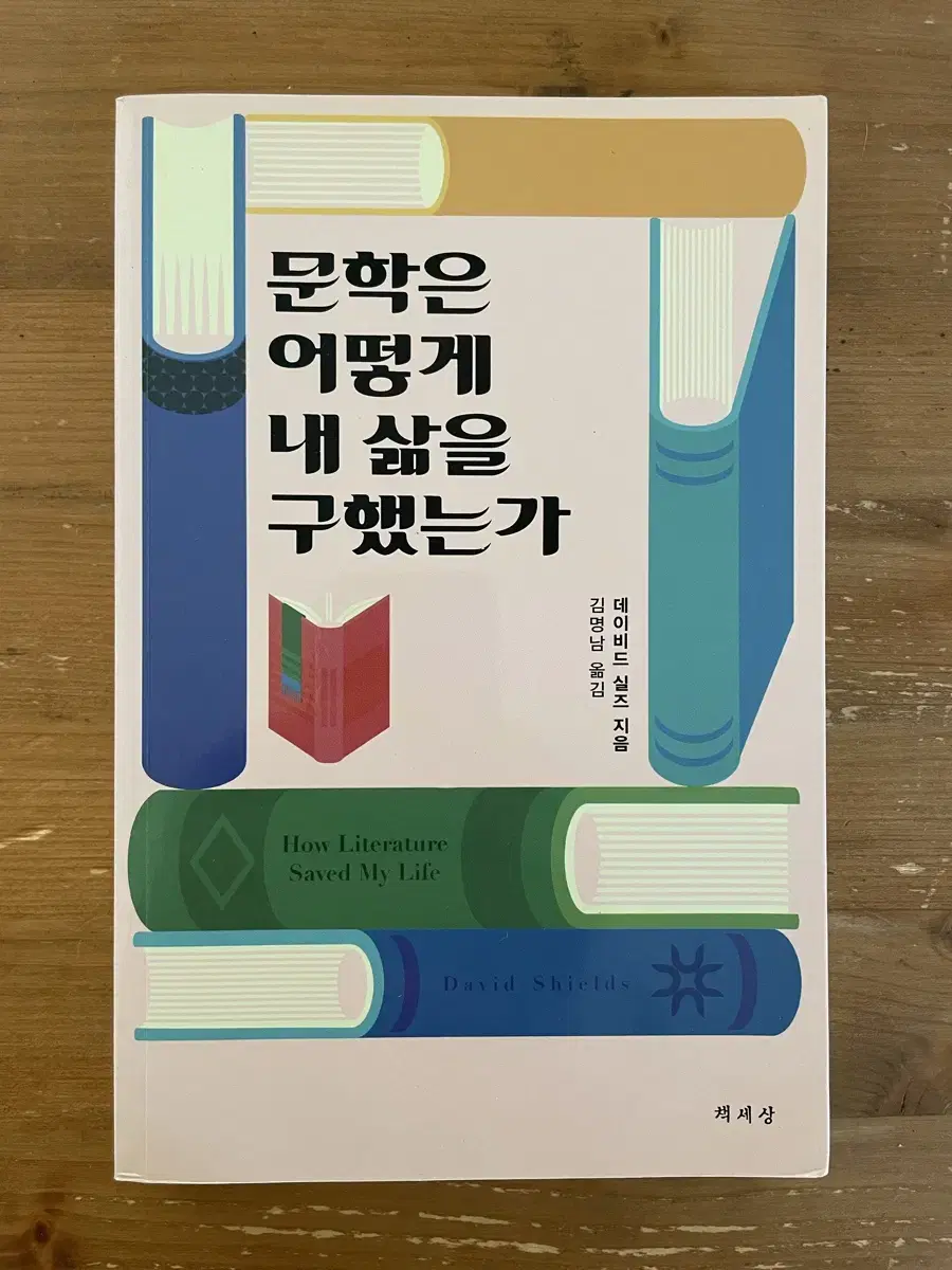 문학은 어떻게 내 삶을 구했는가 - 데이비드 실즈